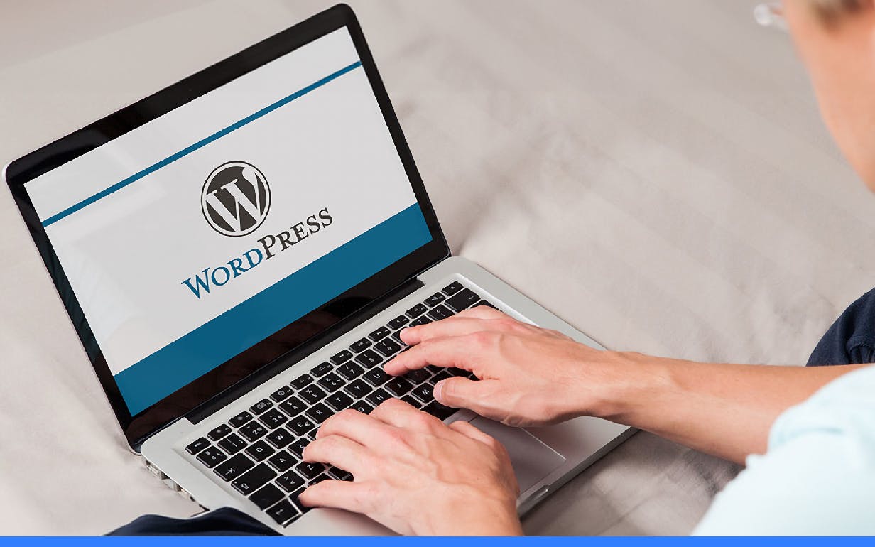 WordPress Development: Here's What You Should Know
